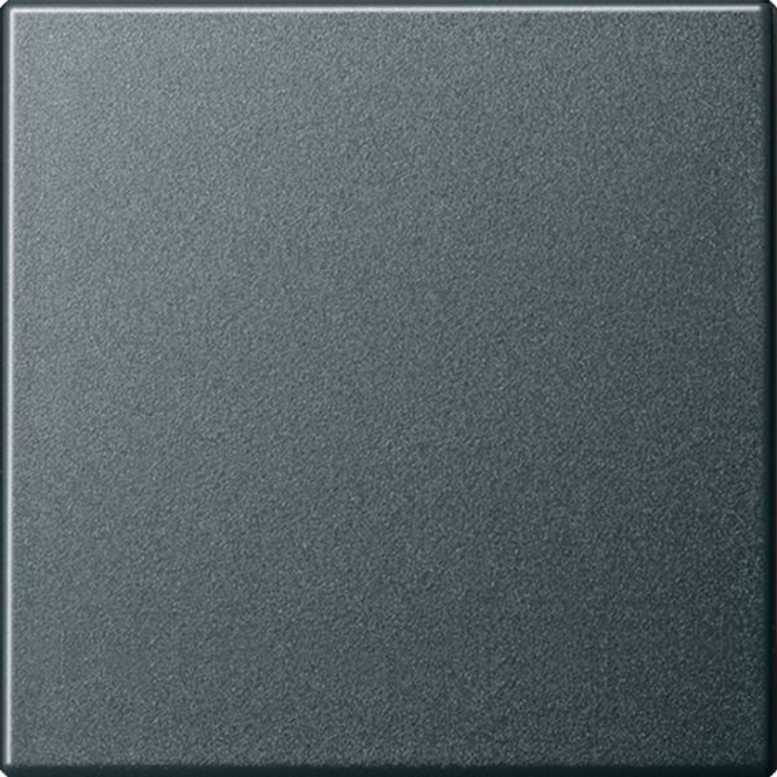 Gira Wippe Schalter anthrazit System 55 029628