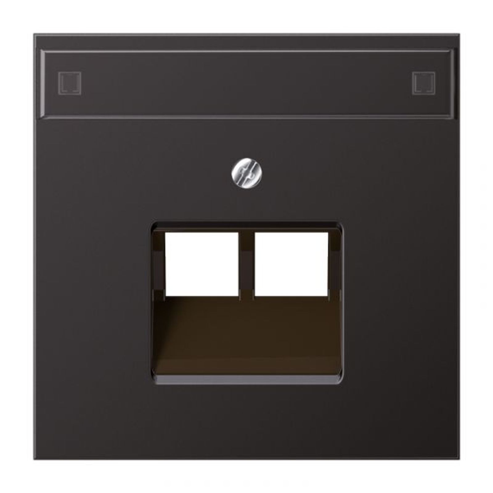 Jung Zentralplatte UAE/IAE 2-fach alu mit LS AL 2969-2 NAUA D Schraubbef