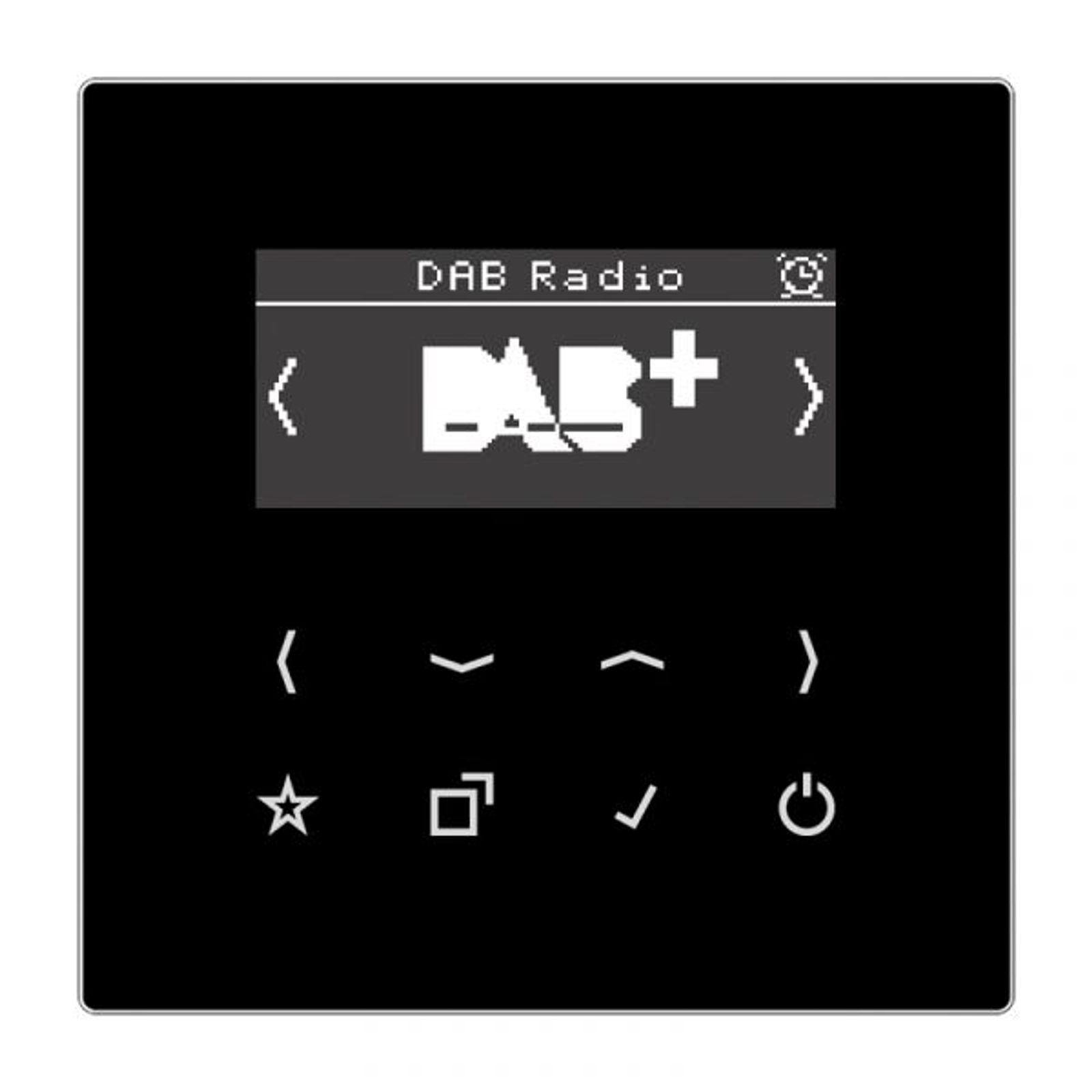 Jung Radio RDS schwarz digi 1Weck 16speich LS DAB  SW mit NT UKW-Empfänger