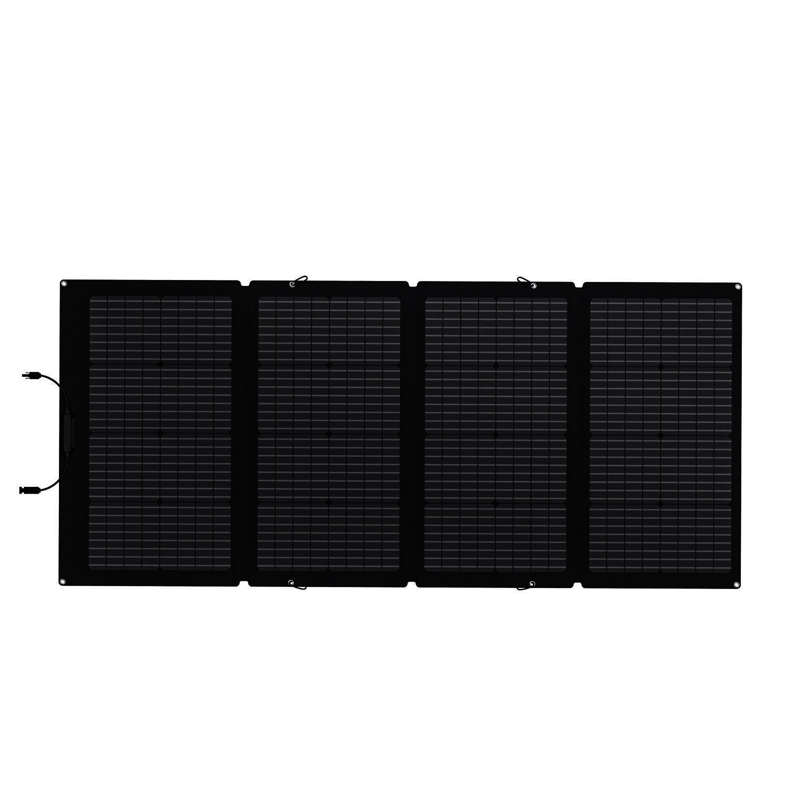 EcoFlow 220 W Tragbares Bifaziales Solarpanel