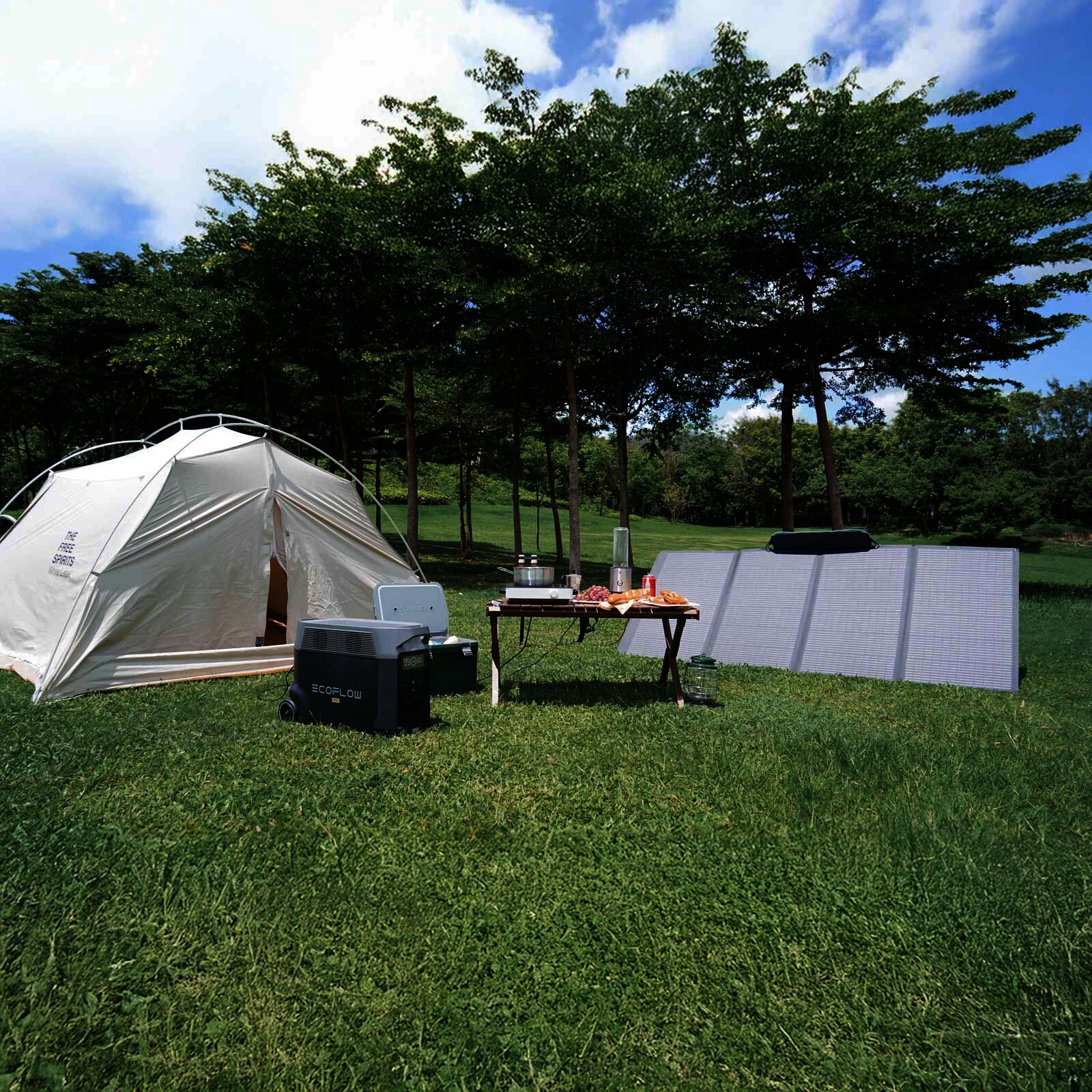 EcoFlow 400 W Tragbares Solarpanel