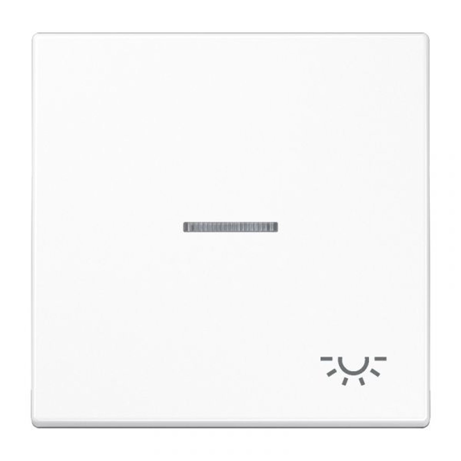 Jung Wippe 1t Schalter alpinweiß glänzend Licht LS 990 KO5 L WW für Bussystem