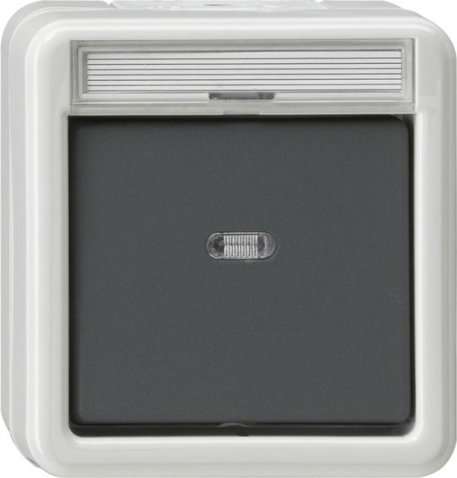 Gira Kontroll-Wippschalter AP IP44 2p 1-fach WG AP 011230