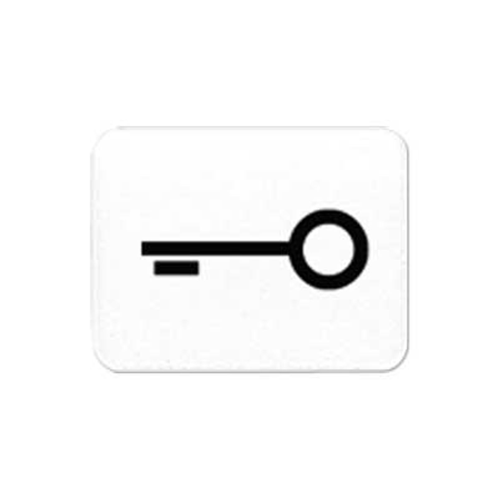 Jung Schalter-Symbol Schl/Tür alpinweiß all 33 T WW