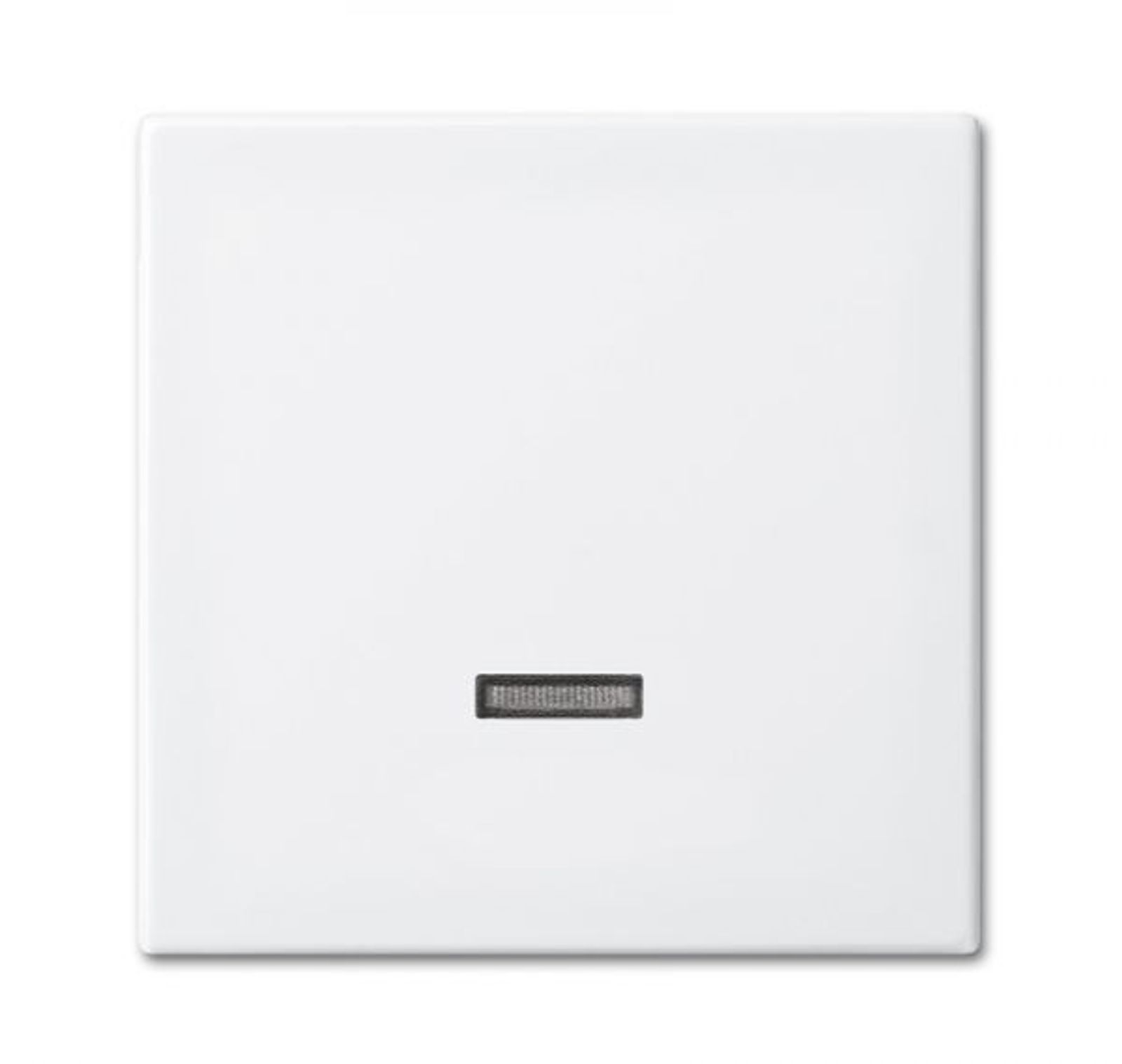 Busch-Jaeger 6543-914-102 Bedienelement mit Glimmlampe