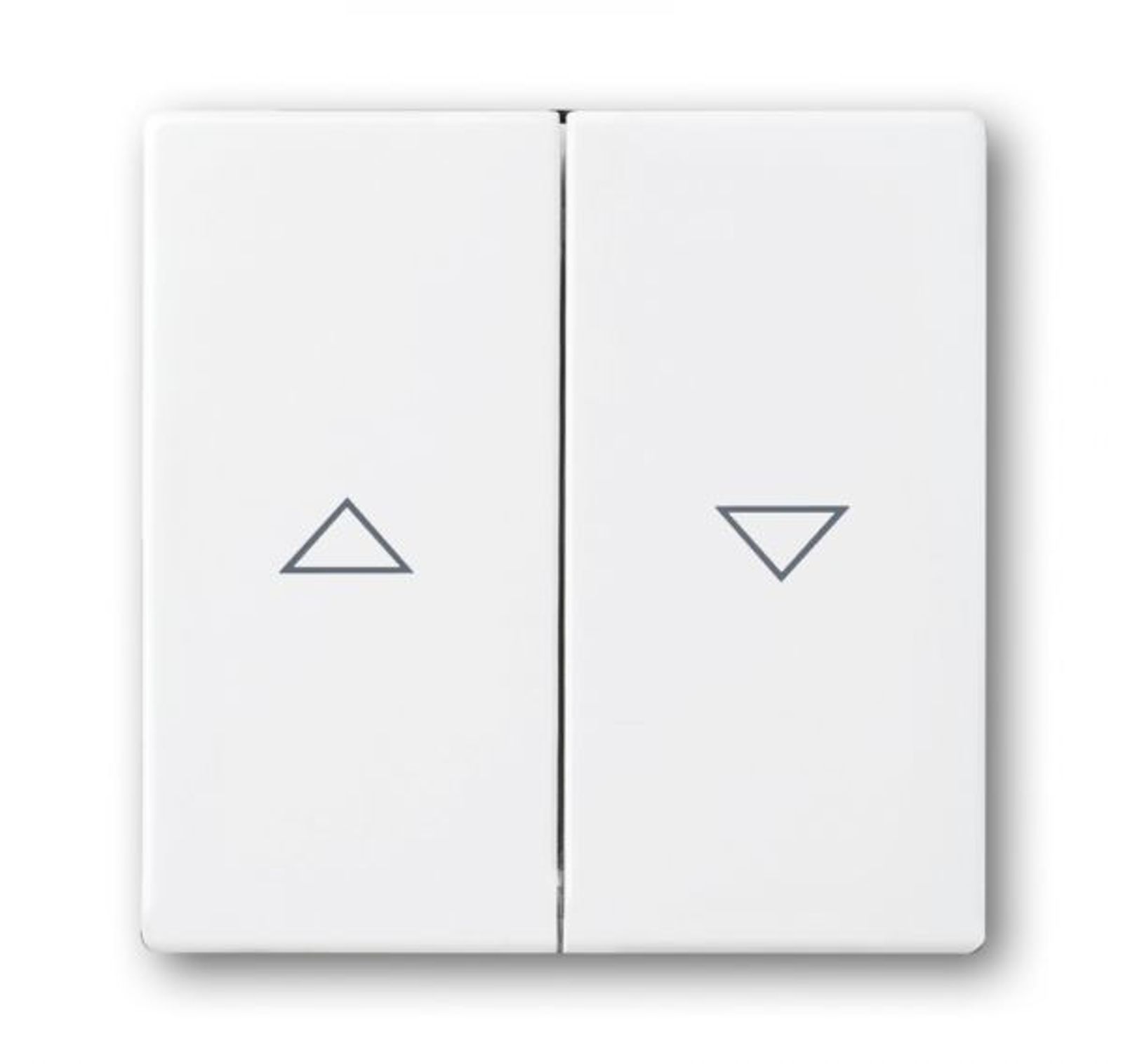 Busch-Jaeger 1785 JA-84 Wippe mit Aufdruck