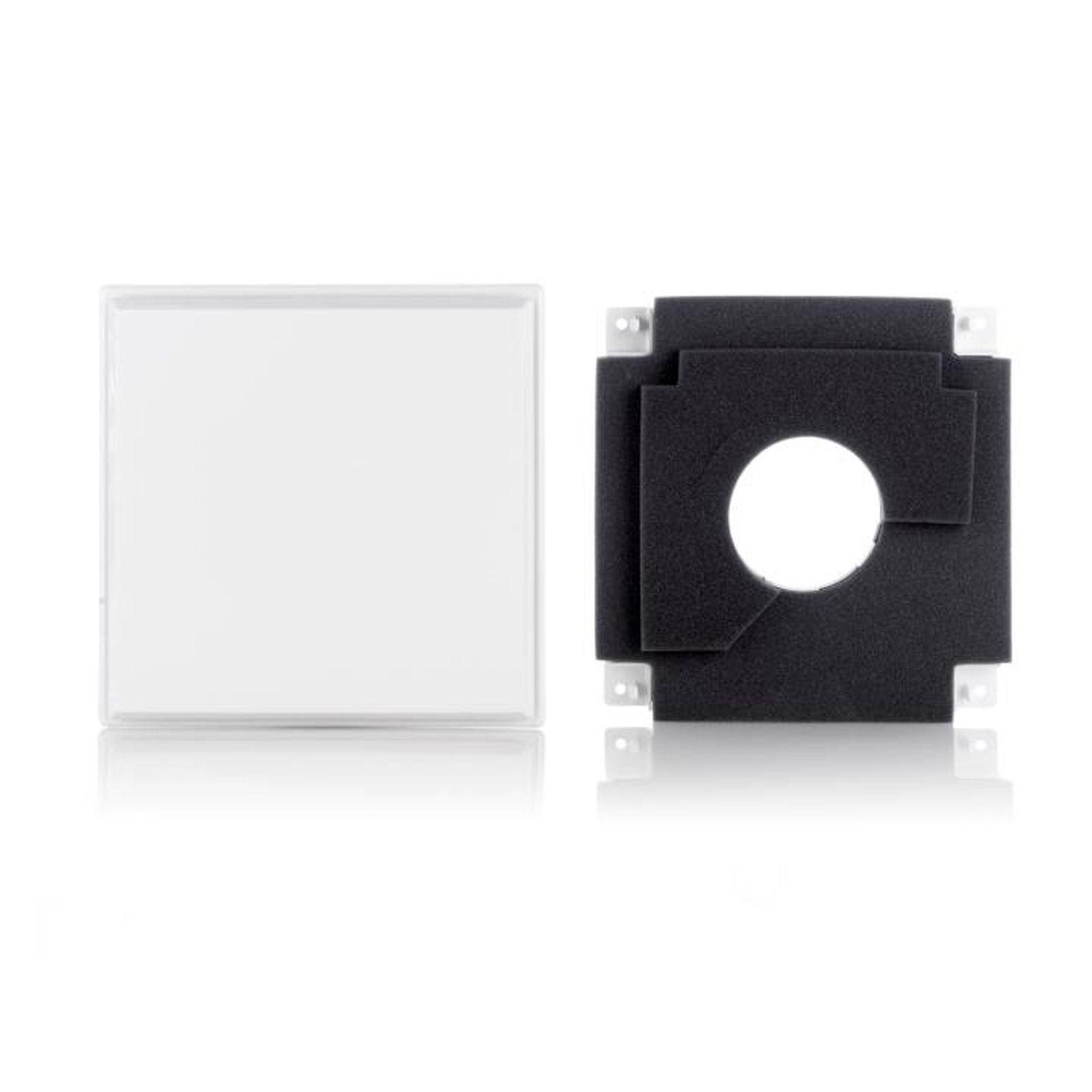 Limodor Deckel glattflächig