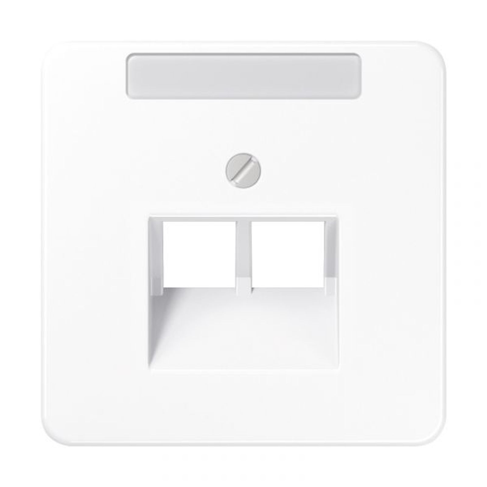 Jung Zentralplatte UAE/IAE 2-fach alpinweiß glänzend CD 569-2 NAUA WW Schraubbef