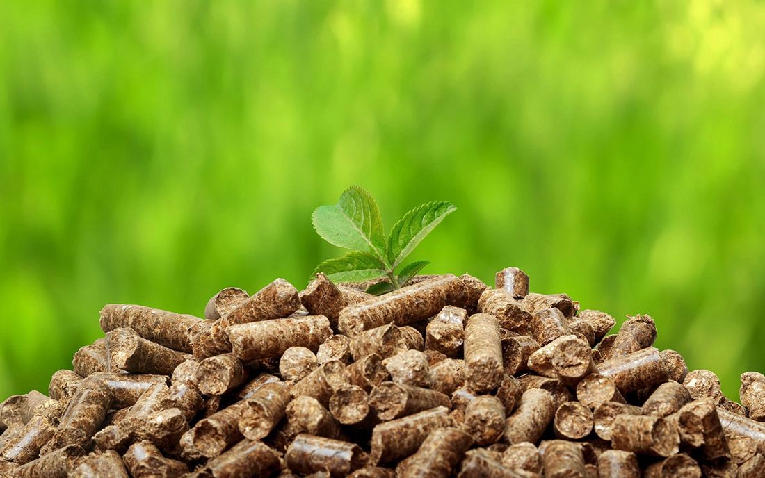 Pellets mit Pflänzchen