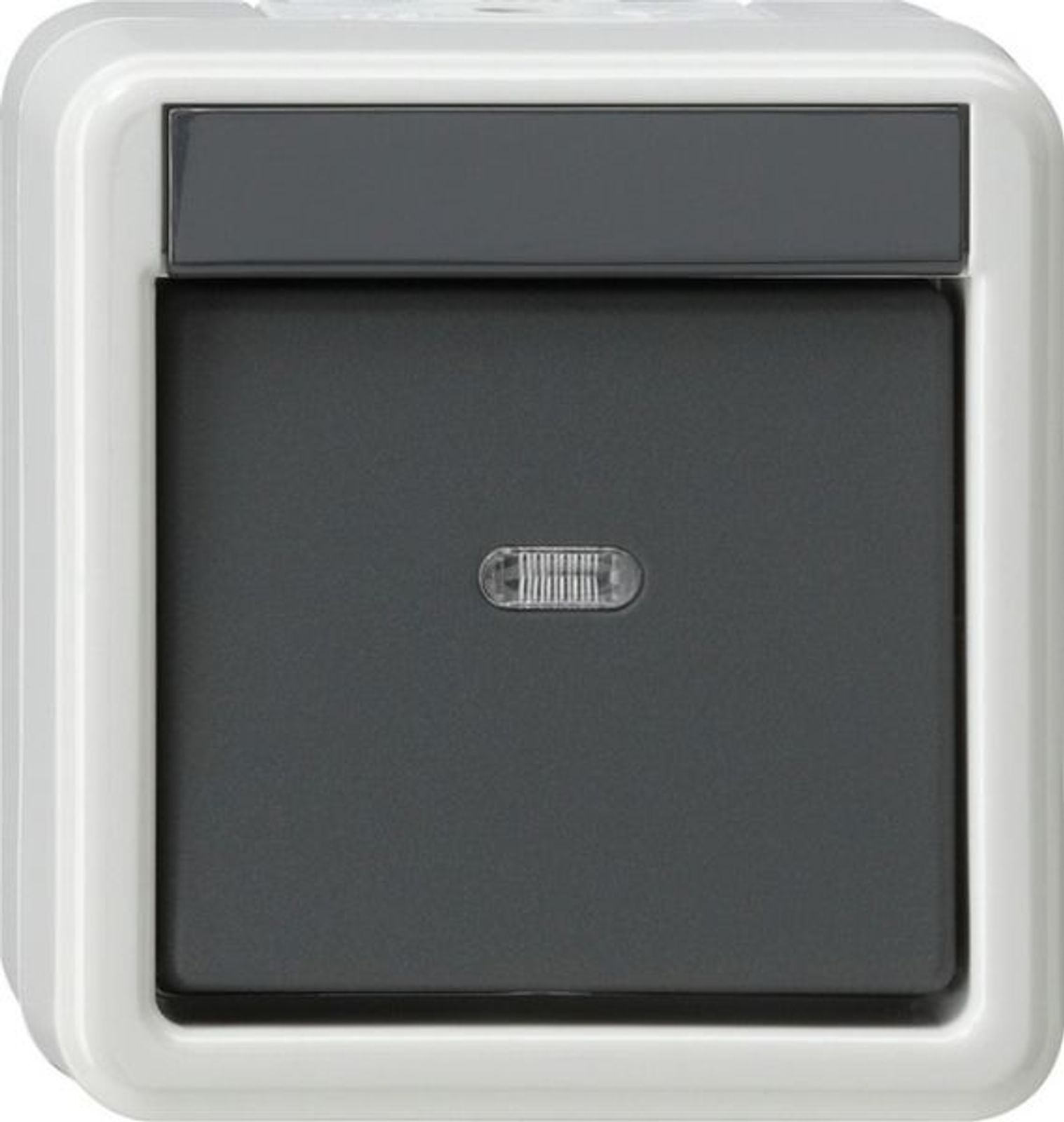 Gira Kontroll-Kreuzschalter gr AP IP44 WG AP 010730 1-fach