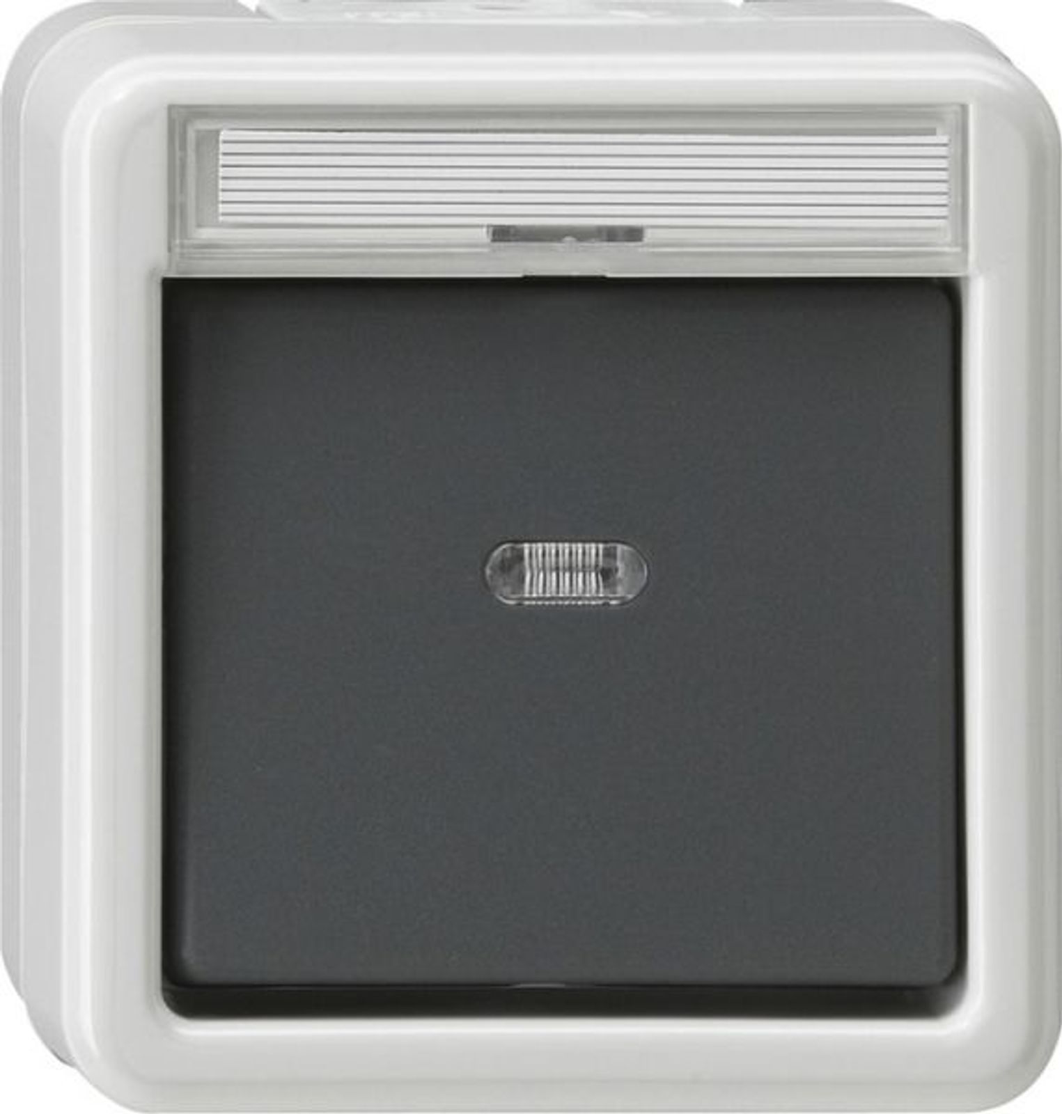Gira Kontroll-Wechselschalter AP IP44 1-fach WG AP 011630