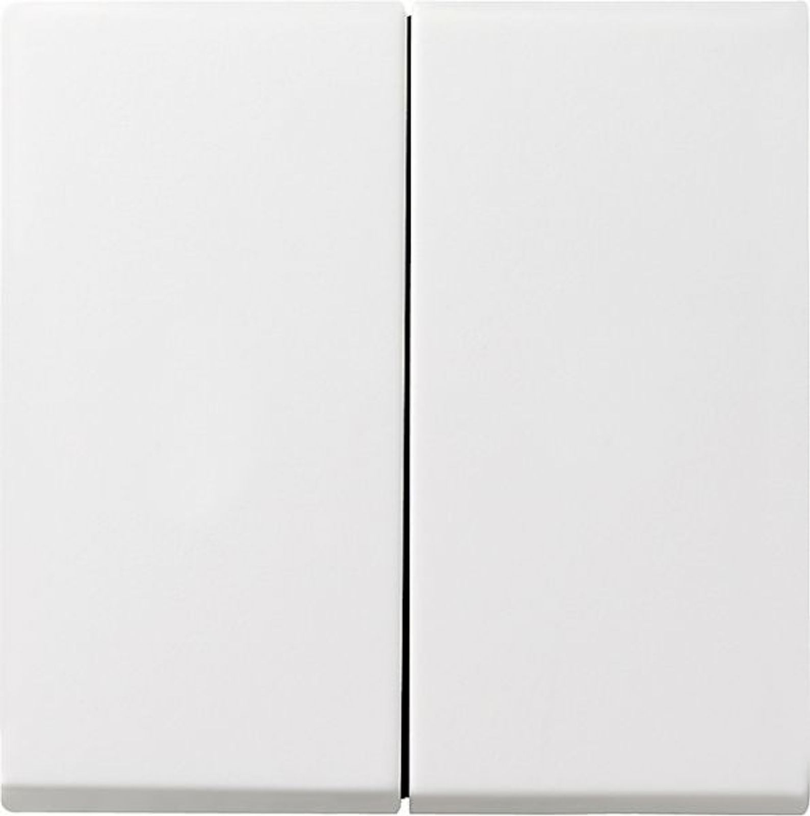 Gira Wippe 2t Schalter reinweiß glänzend System 55 029503