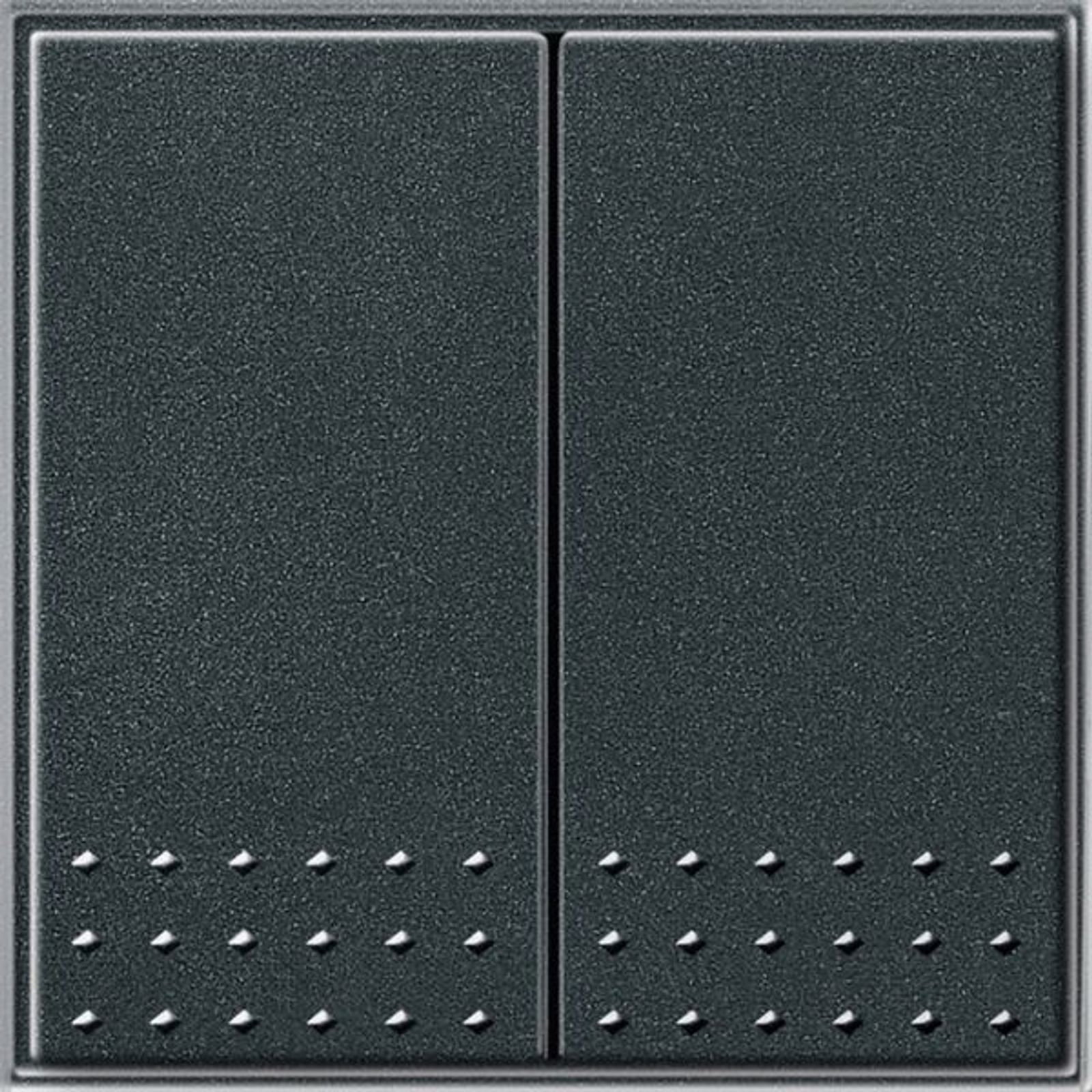 Gira Serienschalter Taster anthrazit UP IP44 TX 44 012567 2-fach