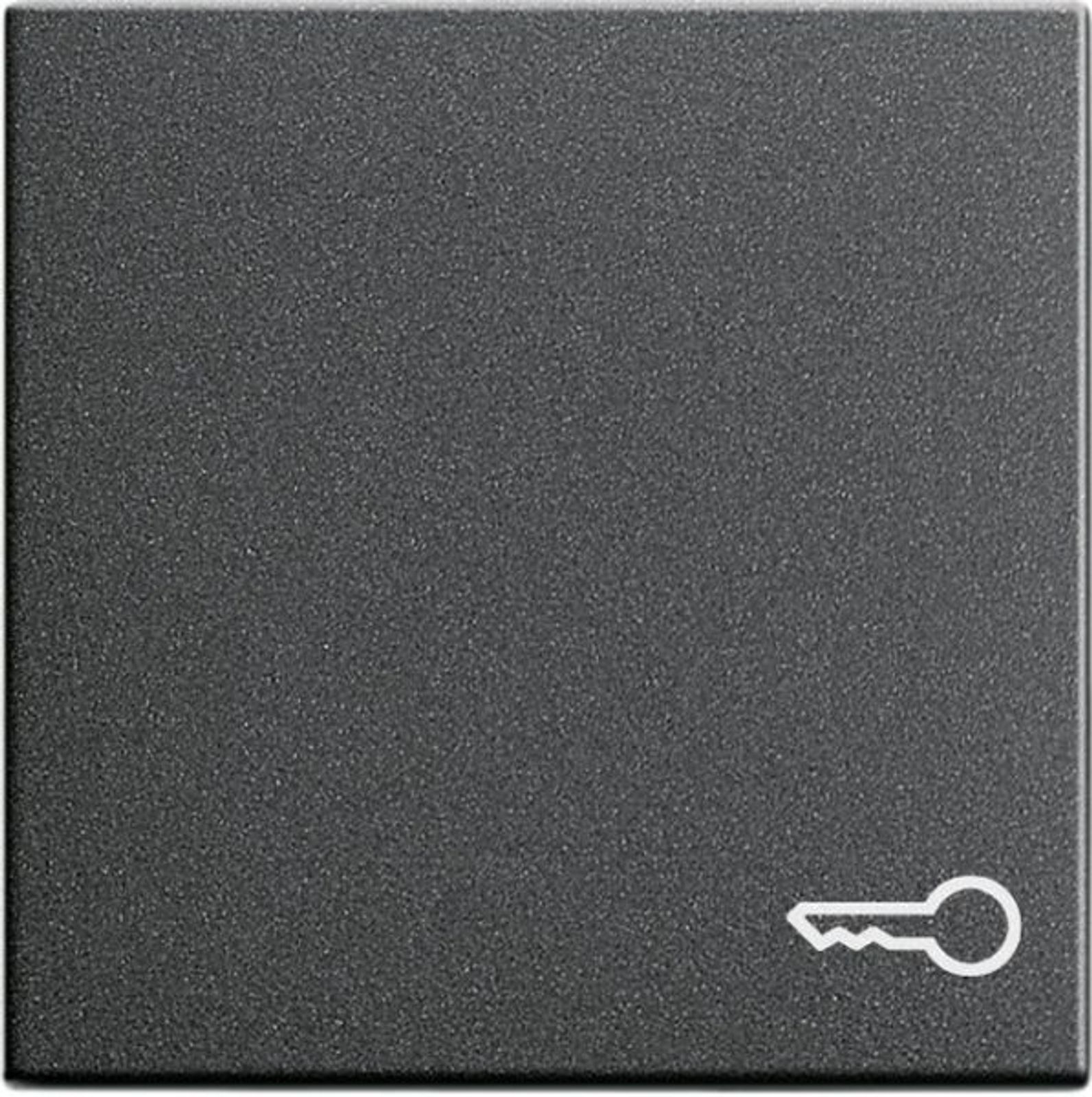 Gira Wippe Schalter anthrazit Schl/Tür System 55 028728