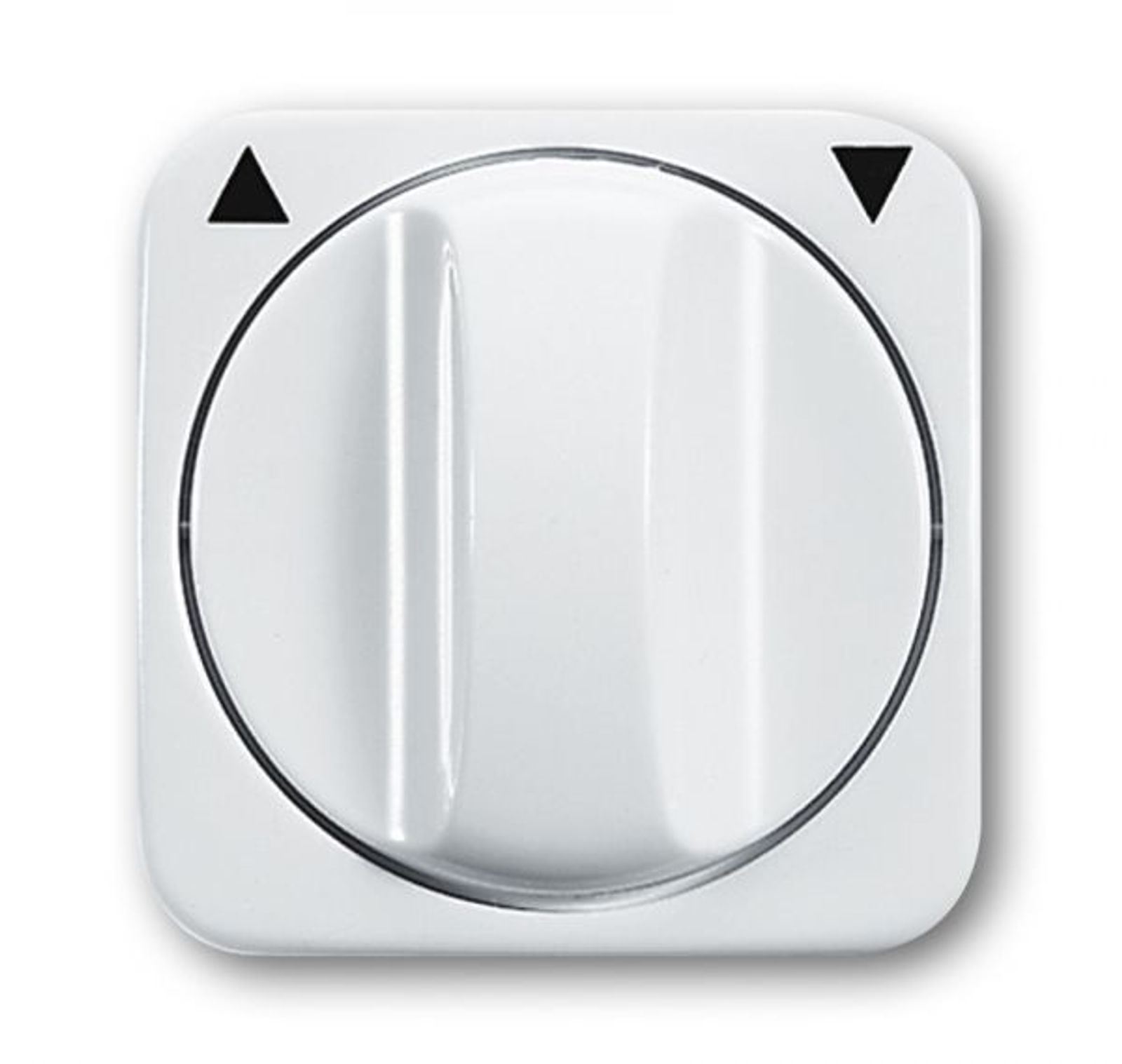 Busch-Jaeger 2542 DR-214 Zentralscheibe mit Drehgriff, mit Aufdruck