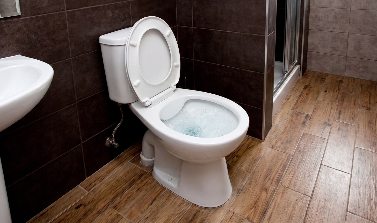 Toilette mit hochgeklapptem Toilettensitz