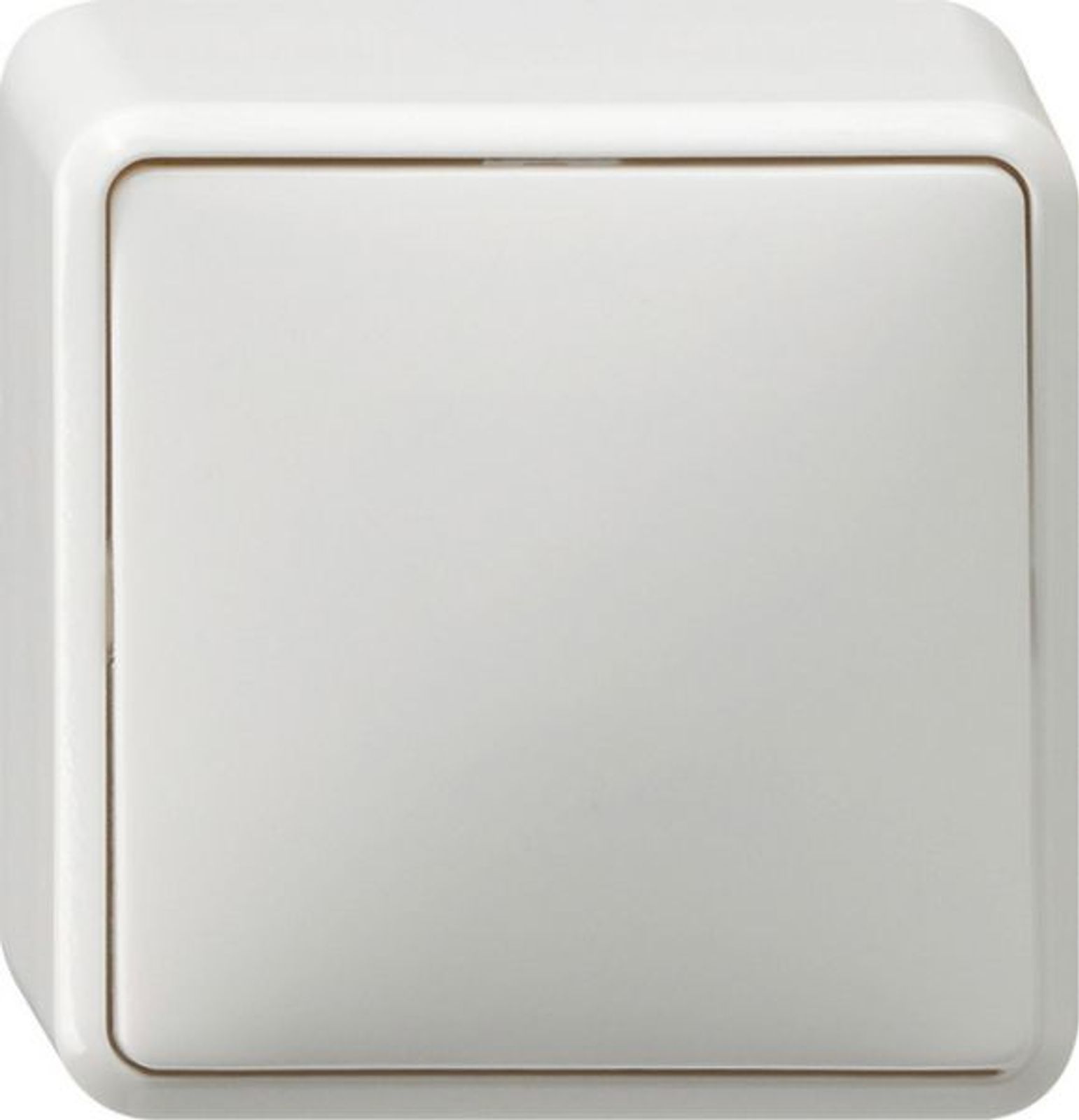 Gira Kontroll-Wippschalter reinweiß AP IP20 AP 010213 2p 1-fach