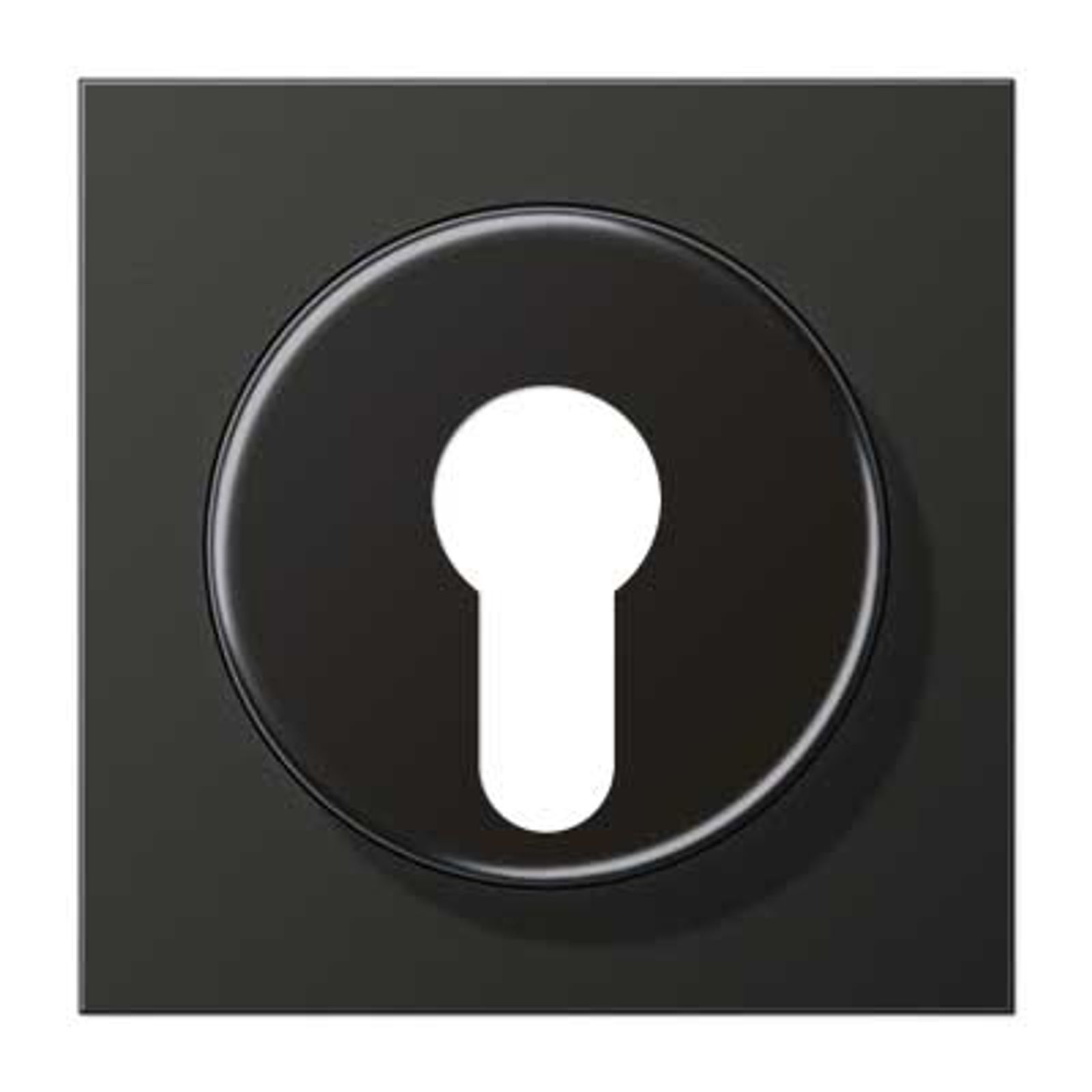 Jung Schlüssel/Abd Schalter anthrazit mit LS AL 2928 AN