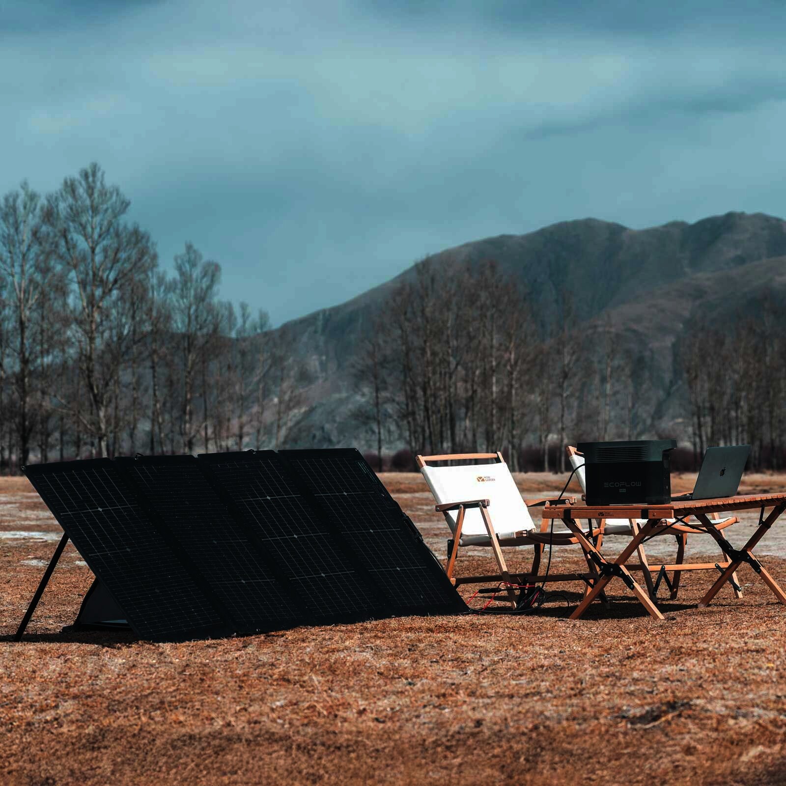 EcoFlow 220 W Tragbares Bifaziales Solarpanel