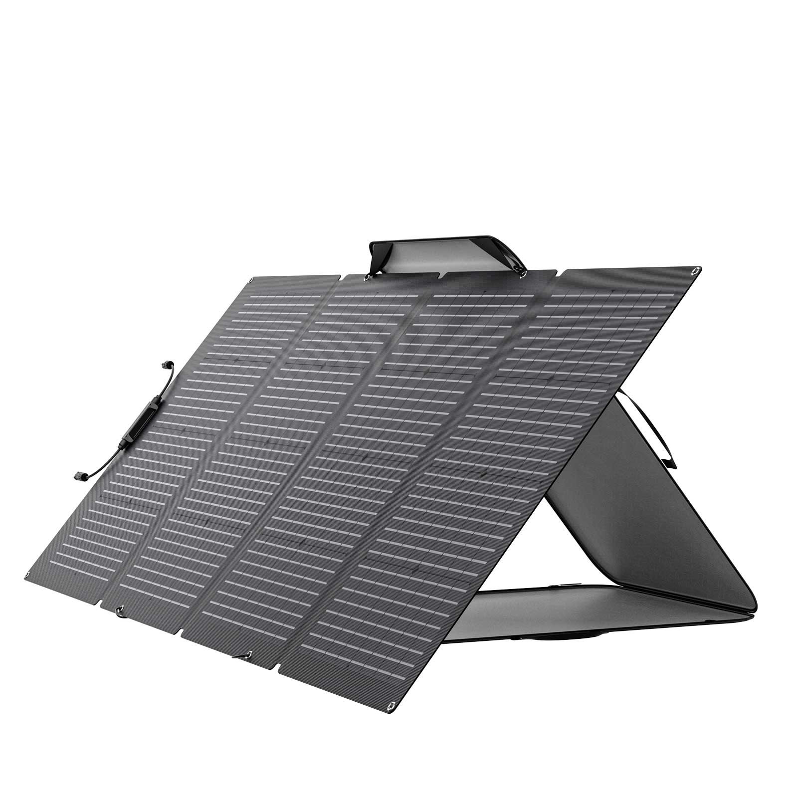 EcoFlow 220 W Tragbares Bifaziales Solarpanel