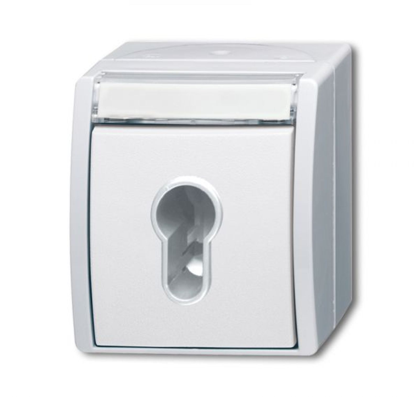 Busch-Jaeger 2733 SLW-54 Schlüsselschalter Ausschaltung, 1-polig