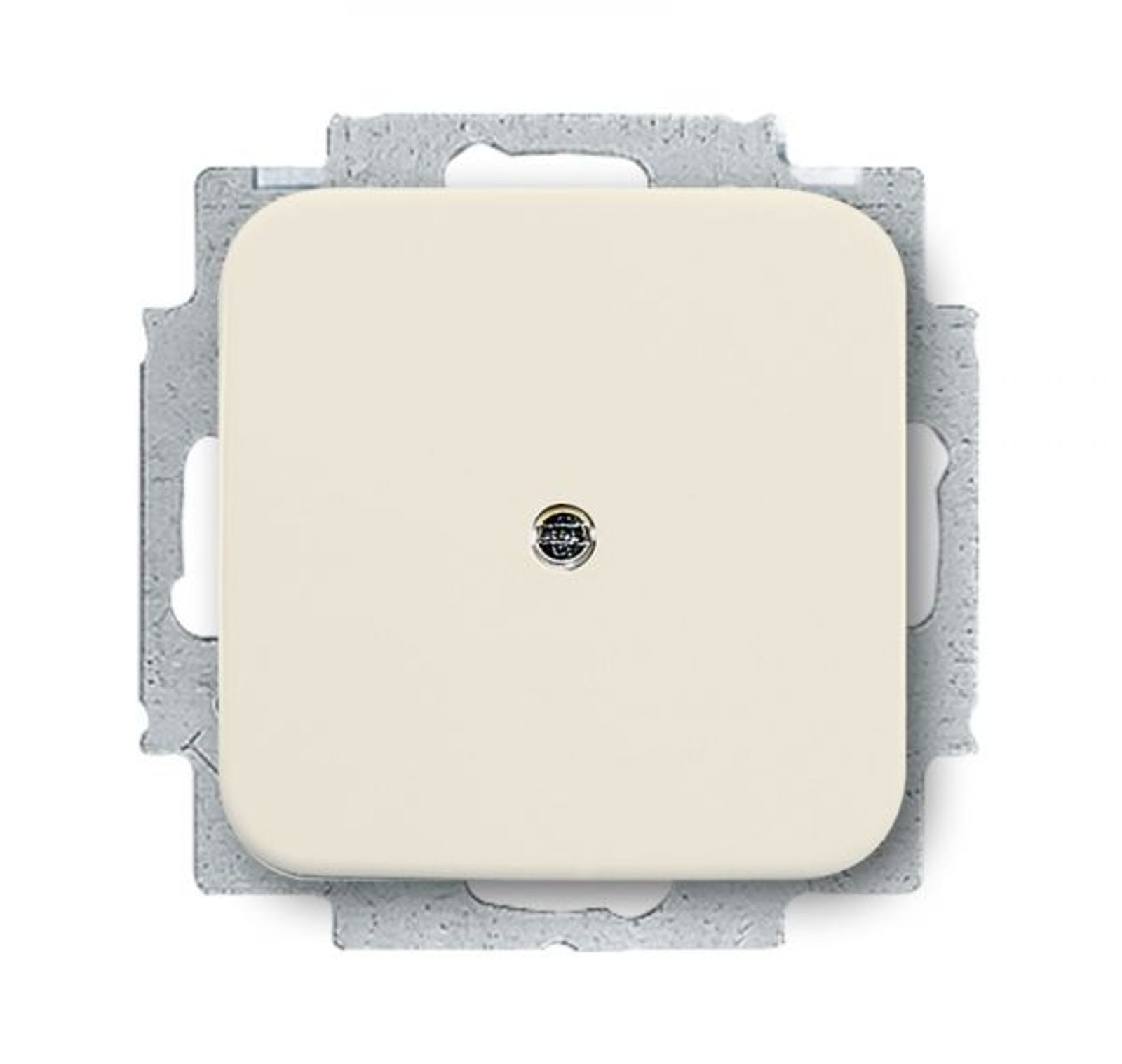 Busch-Jaeger 2538-212 Blindzentralscheibe mit Tragring