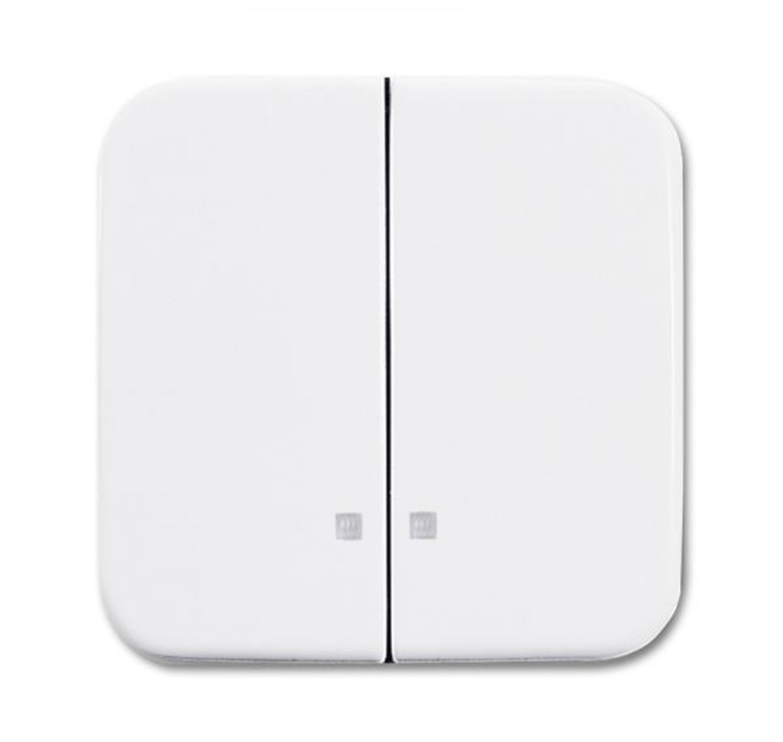 Busch-Jaeger 2505 K-214 Wippe-Serien-Kontrollschalter