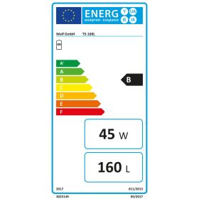Wolf Warmwasser-Schichtenspeicher TS-160