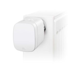 Home Assistant Black Plug & Play Set, 8 GB, 256 SSD inkl. Eve Thermo - Smartes Heizkörperthermostat