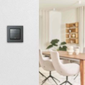 Homematic IP Smart Home Tasterwippe für Markenschalter HmIP-BRA-A - mit Pfeilen anthrazit