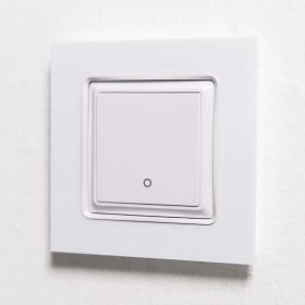 Shelly Wall Switch 1 / Wandtaster 1-fach