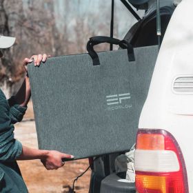 EcoFlow 220 W Tragbares Bifaziales Solarpanel