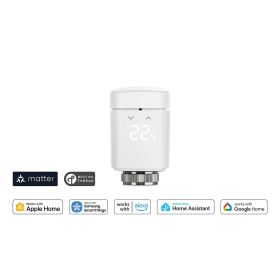 Home Assistant Black Plug & Play Set, 8 GB, 256 SSD inkl. Eve Thermo - Smartes Heizkörperthermostat