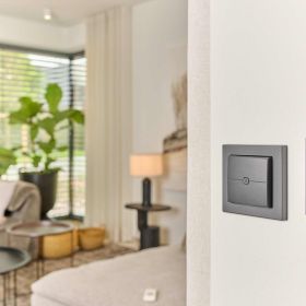 Homematic IP Smart Home Wandtaster 2-fach HmIP-WRC2-A anthrazit